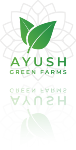 Ayush Logo